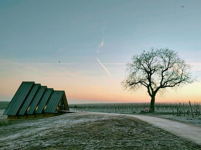 Chapel in the vineyards Zornheim